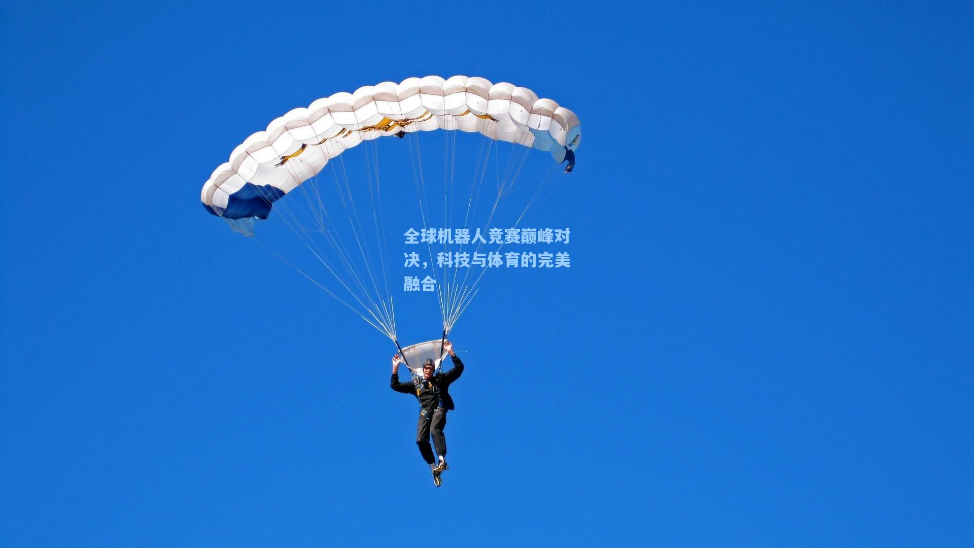 全球机器人竞赛巅峰对决，科技与体育的完美融合