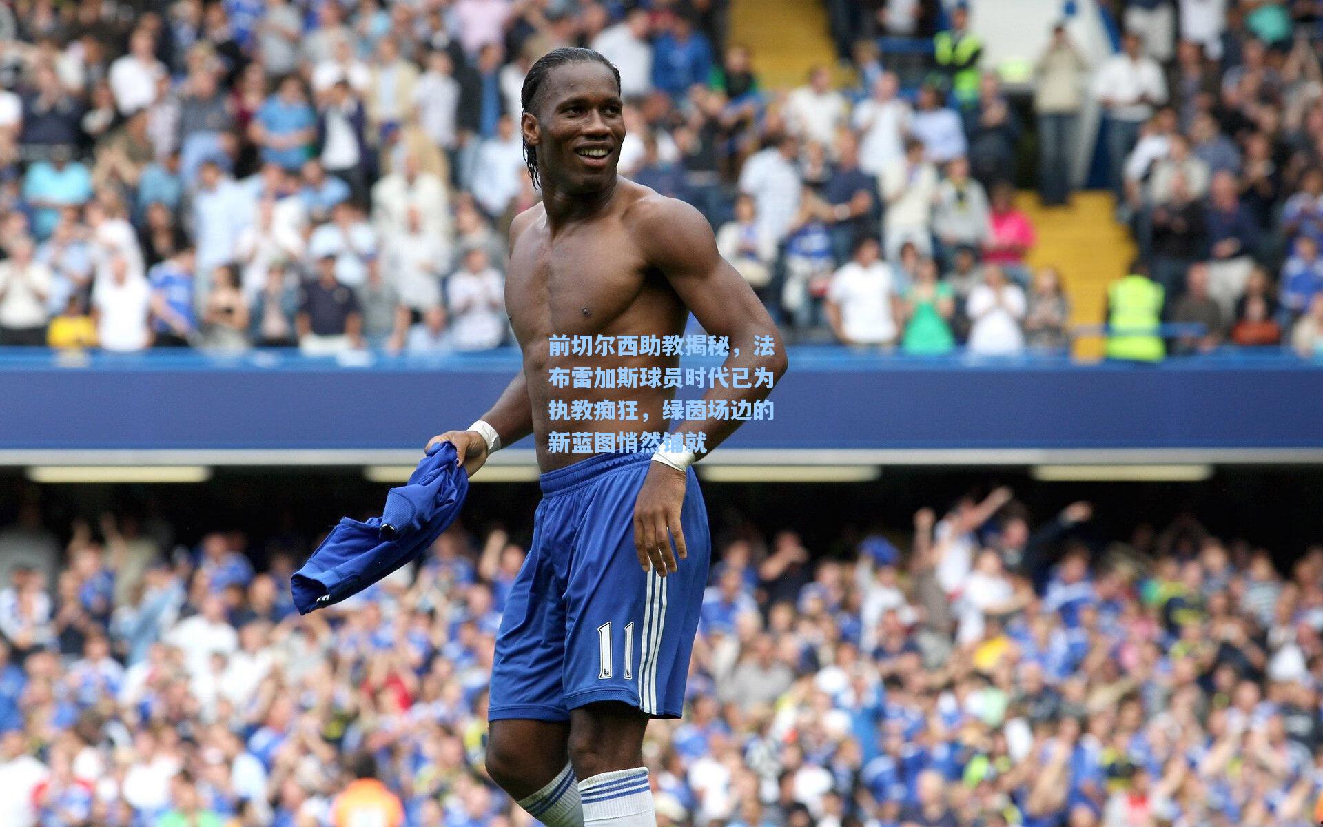 前切尔西助教揭秘，法布雷加斯球员时代已为执教痴狂，绿茵场边的新蓝图悄然铺就